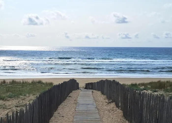 Savannah - La Maison Des Pins *