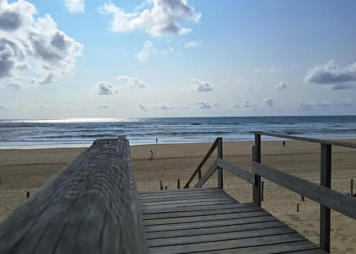 Savannah - La Maison Des Pins Mimizan-Plage