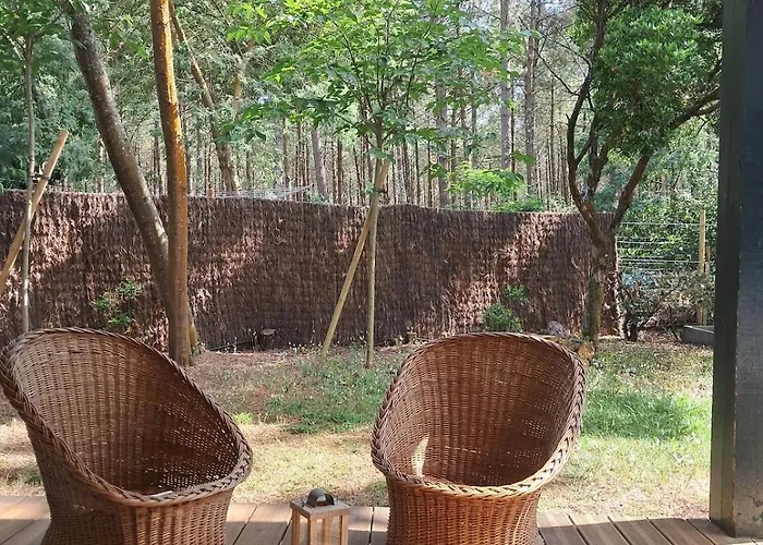 Savannah - La Maison Des Pins