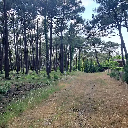 Сasa de vacaciones Savannah - La Maison Des Pins