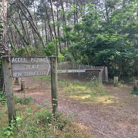 Savannah - La Maison Des Pins